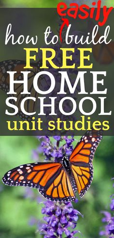 a butterfly sitting on top of purple flowers with the words, how to build free home school