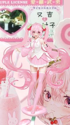 Sakura Miku, Favorite Character