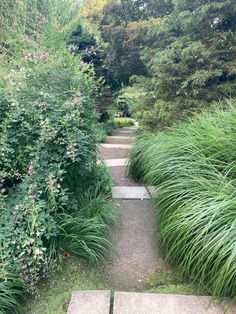 the path is lined with tall grass and flowers, along with stone steps leading up to it