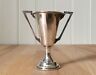 a silver cup sitting on top of a wooden table