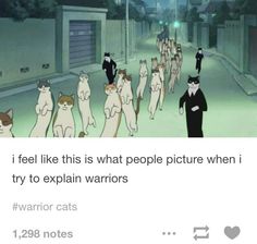 a group of cats walking down a street next to each other with caption that reads, i feel like this is what people picture when i try to explain warriors