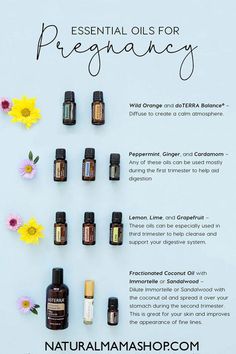 Essential oils for pregnancy.  Create a calm atmosphere, help with moods and digestive system.  #essentialoil #pregnancy #naturalmamashop #meditationforpregnancy Essential Oils Doterra, Essential Oils For Pregnancy, Low Libido, Oil Remedies, Pumping Moms, Essential Oils Recipes