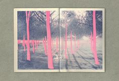 an open photo book with pink paint on the pages and trees in the back ground