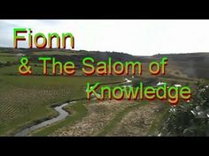 an aerial view of a field with the words fionn and the salon of knowledge