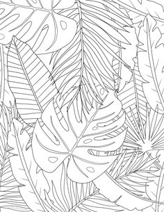 a black and white drawing of tropical leaves