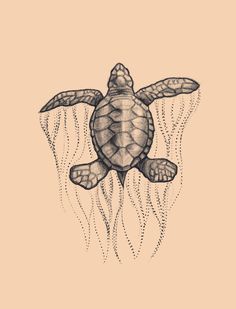 a drawing of a sea turtle swimming in the water with bubbles coming out of it's back