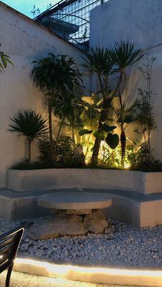 an outdoor area with plants and rocks in the foreground, lit up at night