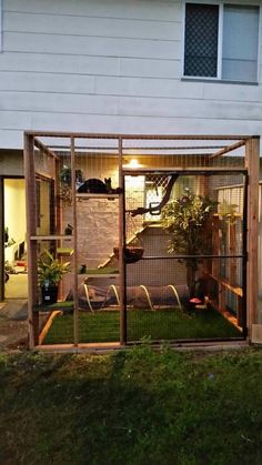 an outdoor area with grass, plants and a fenced in area that is lit up at night