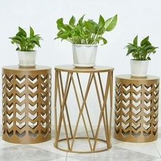 three gold plant stands with plants in them