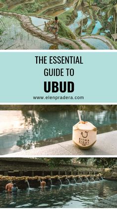 the essential guide to ubud in bali, indonesia with text overlaying it