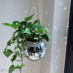 a potted plant hanging from a mirror ball in a room with white walls and flooring