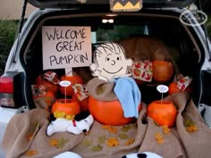 a trunk filled with pumpkins and stuffed animals