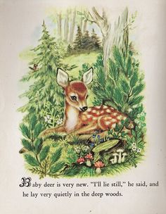 an illustration of a deer laying down in the woods