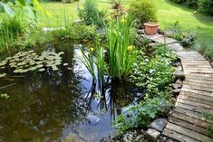 a small pond in the middle of a garden