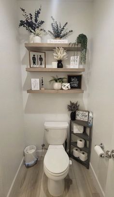 a white toilet sitting inside of a bathroom next to a wooden shelf filled with plants