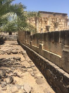 an old stone wall with palm trees in the foreground and rocks on the ground