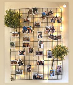 a bunch of pictures hanging on a wall with plants and lights around it in the shape of a heart