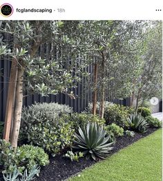 an image of a garden with trees and plants in the middle, on instagram