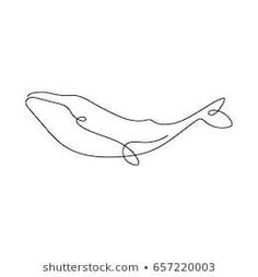 a single line drawing of a whale