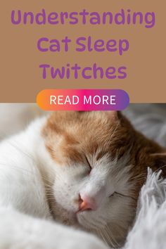 an orange and white cat sleeping on top of a bed with text reading, understanding cats sleep switches read more