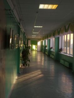 an empty hallway with green walls and white curtains on the windows, in front of two potted plants