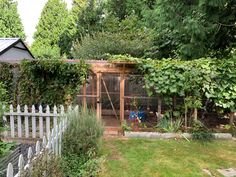 a garden with a chicken coop in the middle and lots of greenery around it