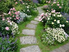 a garden with lots of flowers and stones