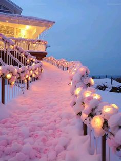 pink roses are lined up along the side of a building with lights on it in the snow