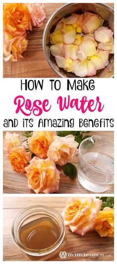 Why You Should Be Putting Rose Water on Your Face (and How to Make it) Rose Water Recipe, Skin Care Routine For 20s, Diy Rose, Diy Roses