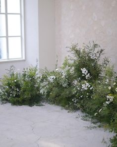 white flowers and greenery in front of a window