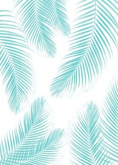 a blue and white wallpaper with palm leaves