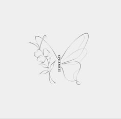 a drawing of a butterfly on a white background