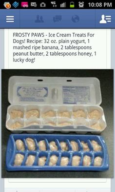 an image of some ice cream treats in a plastic container on a table with the text frosty paws ice cream treats for dogs recipe 32oz plain yogurt 1