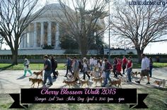 a group of people walking their dogs in front of the white house