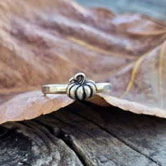 Embrace the magic of autumn with our Sterling Silver Pumpkin Ring, a whimsical and enchanting tribute to the season of transformation and the earthy delights of Samhain/Halloween Pumpkin Ring, Silver Pumpkins, Samhain Halloween, Small Pumpkins, Samhain, Ring Necklace, Ring Earrings, The Magic, Sterling Silver