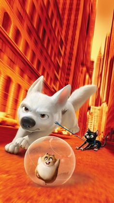 the secret life of pets movie poster with cat and dog in front of an orange city