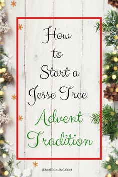 the words how to start a jese tree and an image of pine cones on a white wooden background