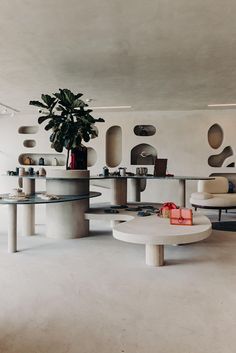 a living room filled with furniture and a potted plant on top of a table