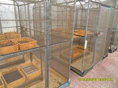 the inside of a greenhouse with lots of plants growing in it's trays