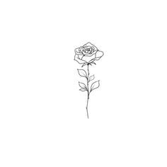 a black and white drawing of a single rose