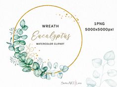 watercolor clipart wreath with eucalyptus leaves