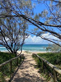 a path leading to the beach with trees on both sides