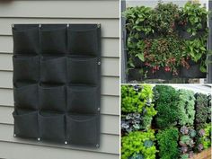 an outdoor vertical living wall planter is shown in three different pictures, and the text below it reads $ 29 95