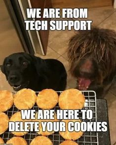 two dogs standing next to each other in front of some cookies on a rack with the caption, we are from tech support we are here to delete to delete your cookies