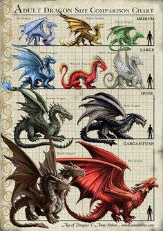 an image of different types of dragon