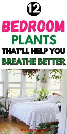 bedroom plants that'll help you breathe better