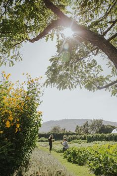 two people walking through an open field with trees and flowers in the foreground on a sunny day