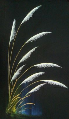 some white flowers are in a vase on a black table top with the light from behind them