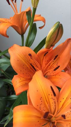 some orange flowers are in a vase on the table