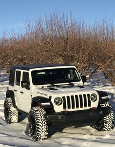 a white jeep parked in the snow next to some bushes and trees with no leaves on them